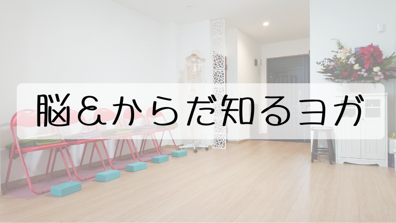 脳＆からだ知るヨガ