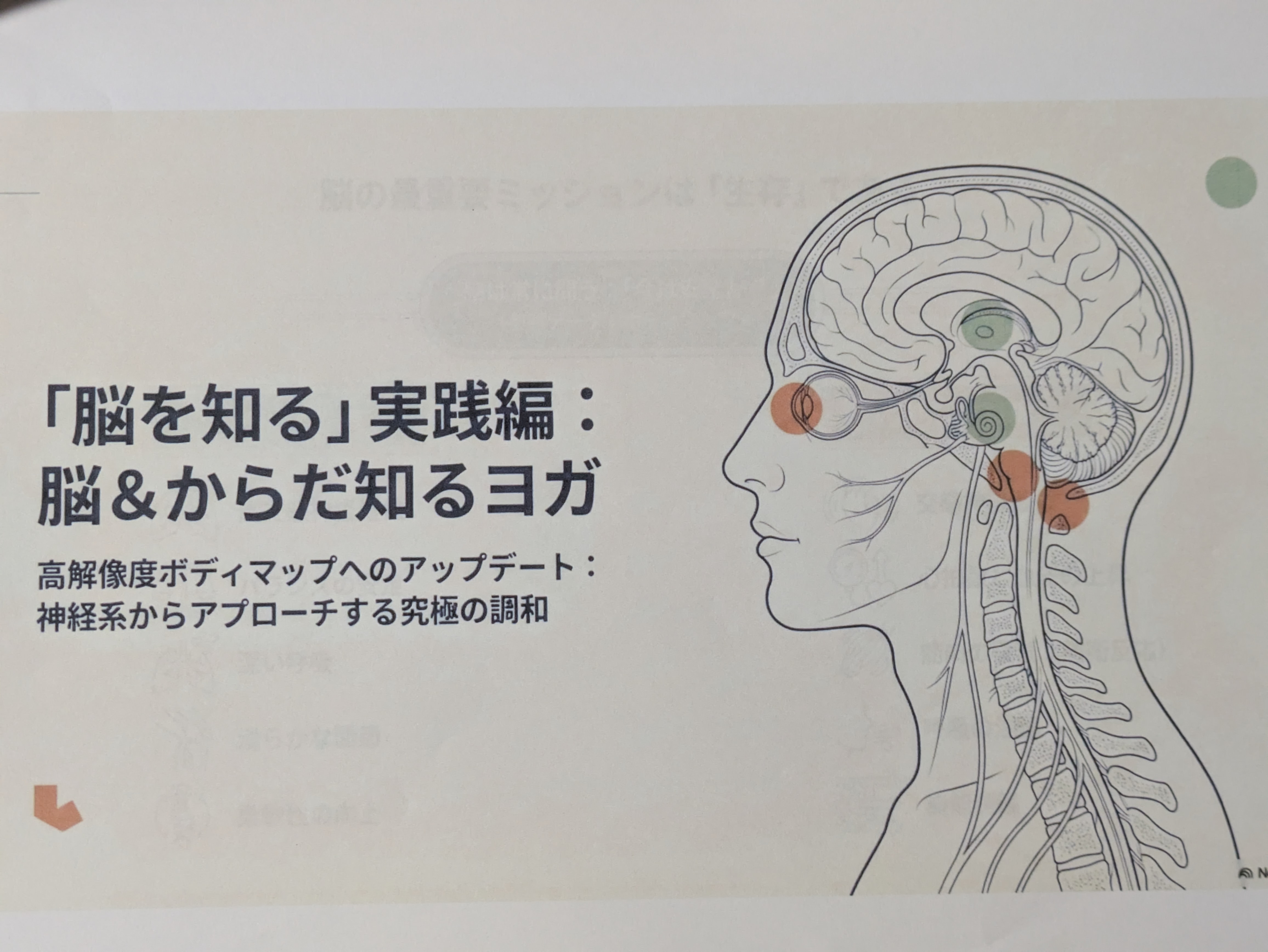 やっと・生みました📖